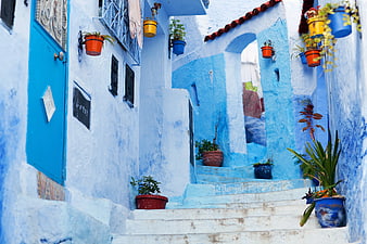 Blue alleyway in Chefchaouen, Morocco with potted plants