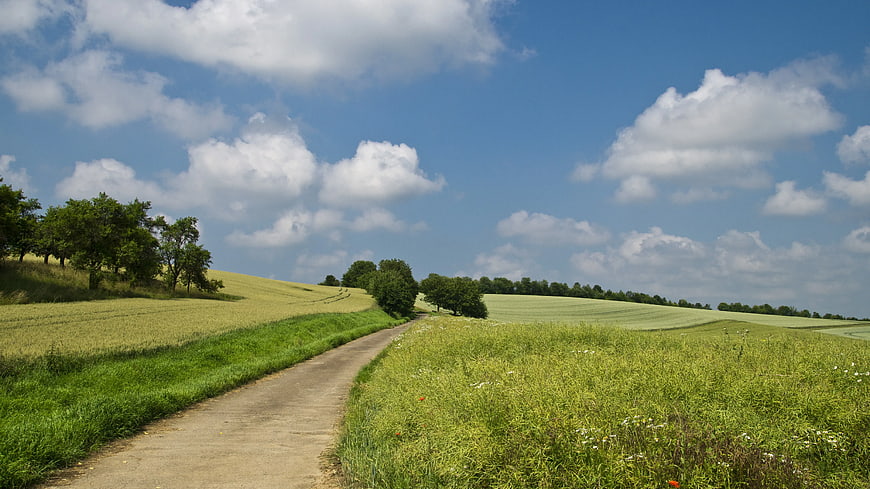 Winding Country Road Through Green Rolling Hills