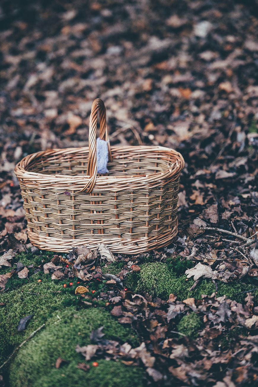 Wicker basket on mossy forest floor with autumn leaves
