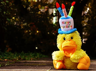 Yellow Plush Duck Wearing Happy Birthday Cake Hat
