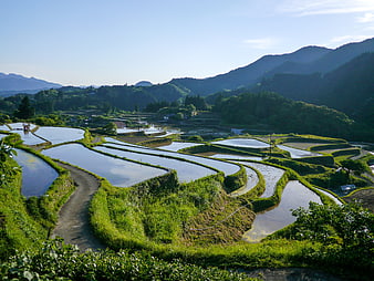 Yamada Rice Terraces in Kumamoto, Japan