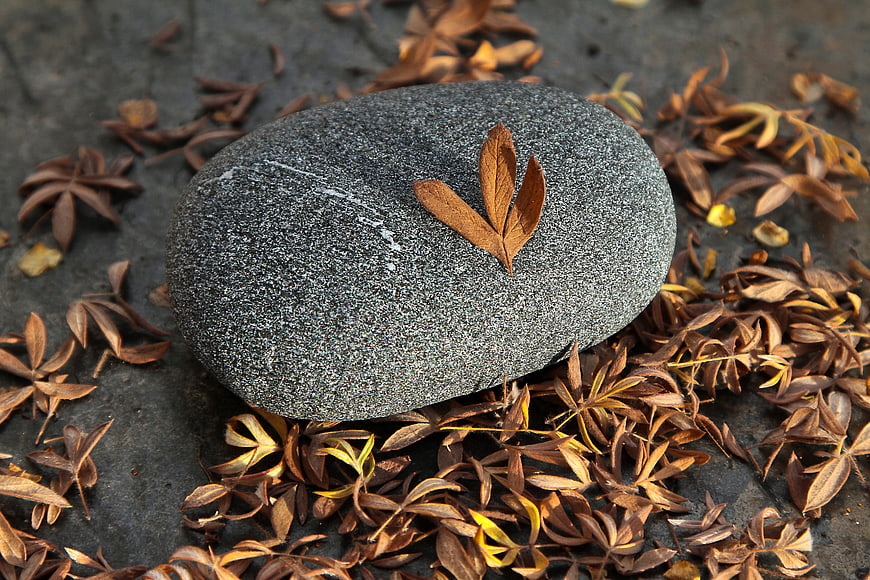 Smooth gray stone with autumn leaves on dark background