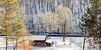 Rustic wooden cabin in snowy winter forest landscape