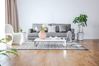 Modern minimalist living room with gray sofa and white decor