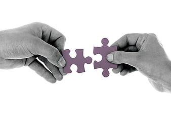 Two Hands Connecting Purple Puzzle Pieces on White Background