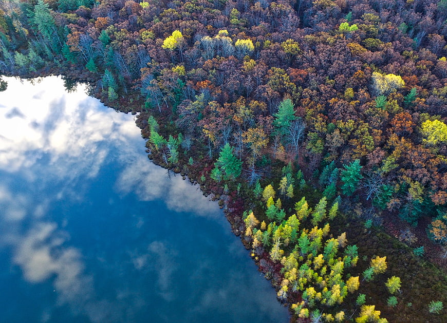 Aerial View of Colorful Autumn Forest by Blue Lake