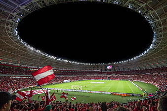 Wide Angle View of Soccer Stadium with Austrian Fans