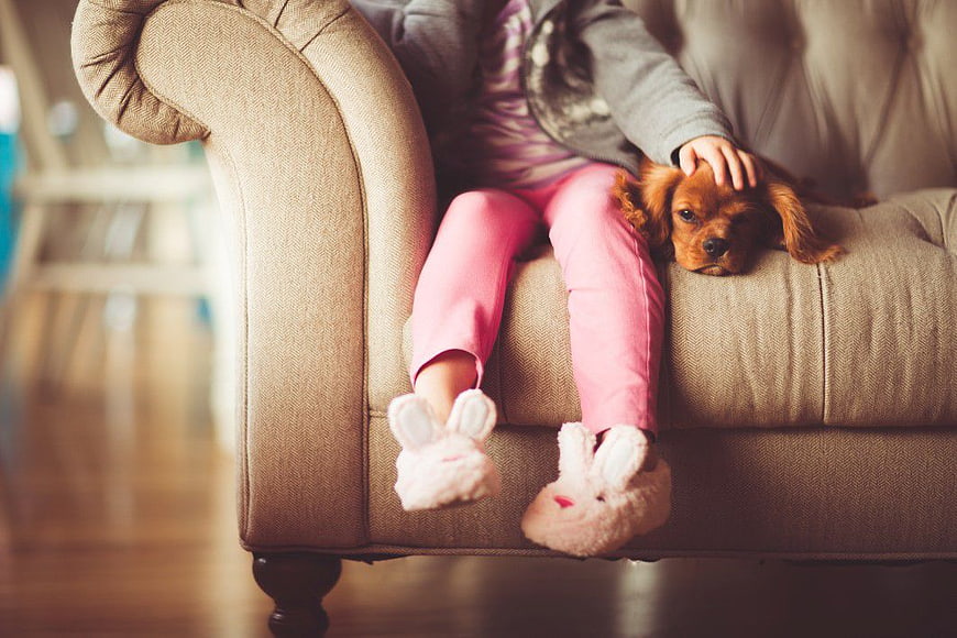 Child petting puppy on beige sofa