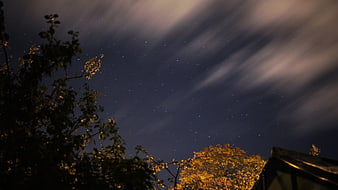 Long Exposure Starry Night Sky with Streaking Clouds and Trees