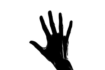 Black Silhouette of Open Hand Against White Background