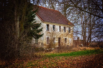 Abandoned dilapidated house in autumn forest