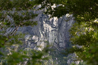 Rugged Mountain Cliff View Through Green Forest Foliage