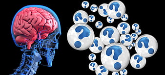 3D Brain Anatomy with Question Marks on Black Background