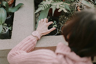 Woman in Pink Sweater Tending to Garden Plants