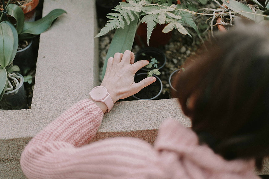 Woman in Pink Sweater Tending to Garden Plants