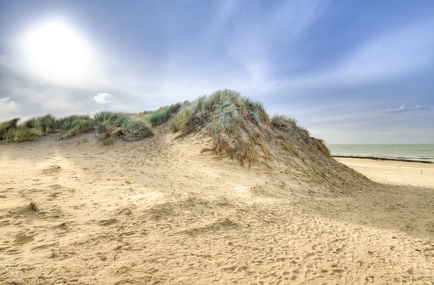 Sandy dune with marram grass overlooking the ocean