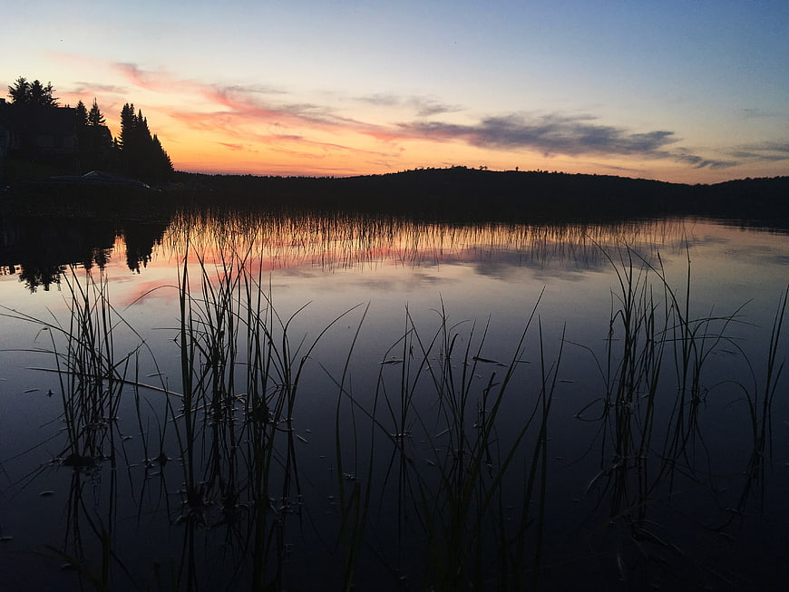 Serene Lake Sunset with Reeds and Sky Reflection