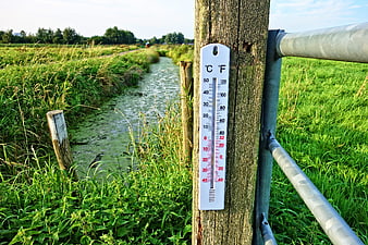 Outdoor Thermometer on Wooden Post by Green Canal