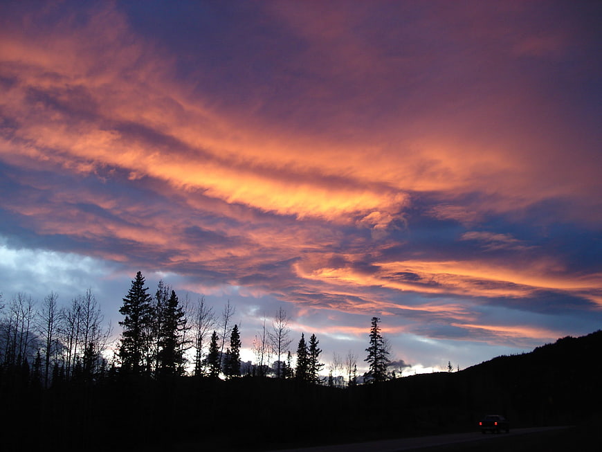 Dramatic orange and purple sunset sky over silhouetted forest