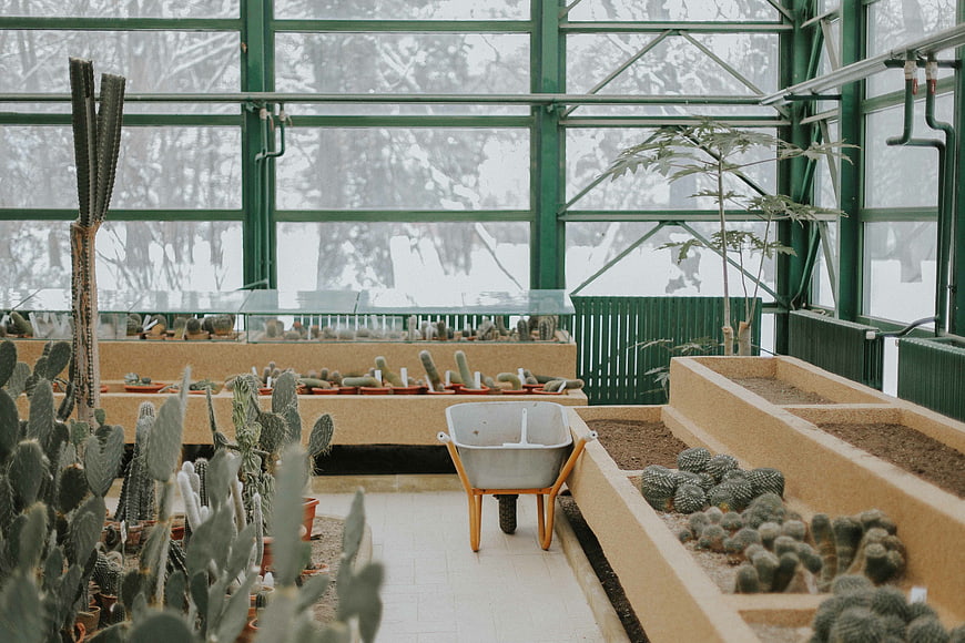 Cactus greenhouse interior with wheelbarrow and winter view