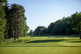 Wide shot of golfers on a sunny green course with trees
