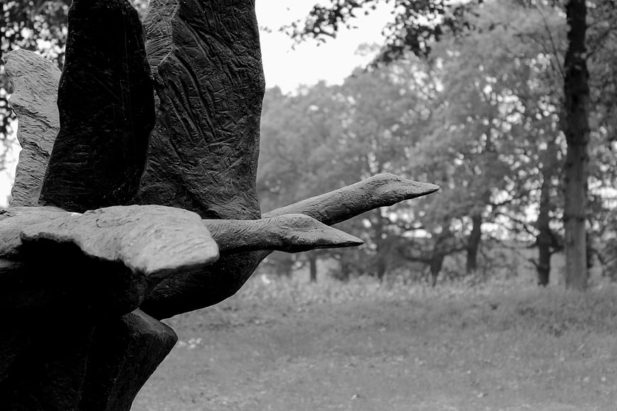 Black and white stone bird sculpture in park