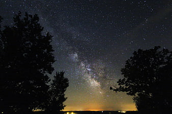 Milky Way Galaxy Night Sky with Silhouetted Trees