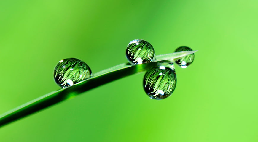 Macro photography of dew drops on a green grass blade