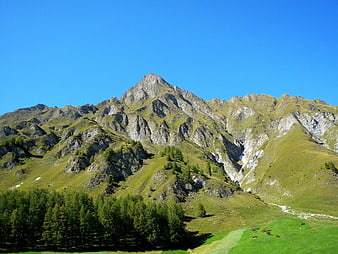 Majestic green mountain peak with forest and blue sky