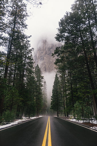 Foggy forest road leading to a misty granite cliff in winter