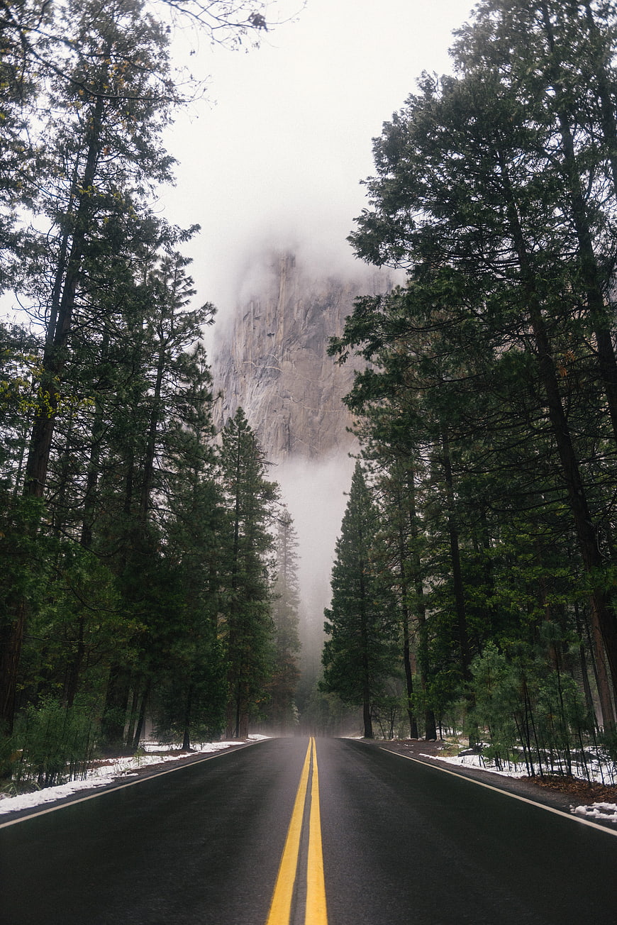 Foggy forest road leading to a misty granite cliff in winter