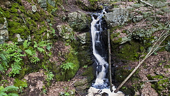 Small waterfall cascading over mossy rocks in a forest
