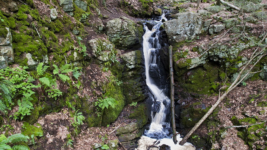 Small waterfall cascading over mossy rocks in a forest