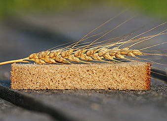 Slice of Whole Grain Bread with Wheat Ear on Dark Surface
