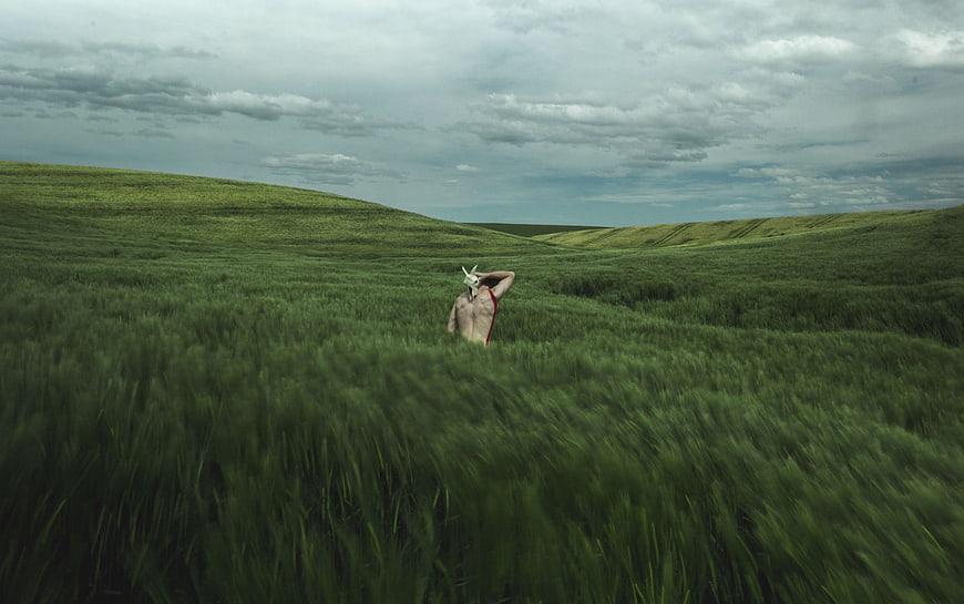 Man in white mask standing in green wheat field