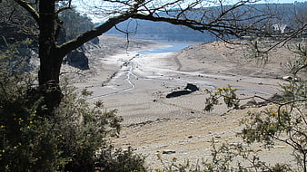 Severe drought in Guerledan lake, Brittany, France