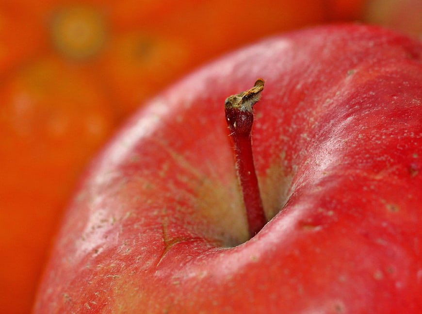 Close-up of a red apple with stem and blurred orange background