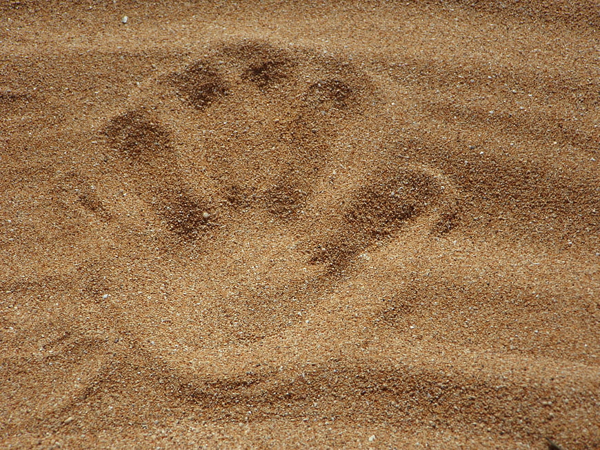 Human Handprint in Sand Texture