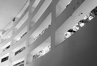 Black and white architectural detail of concrete slats