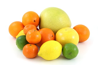 Assorted Citrus Fruits on White Background