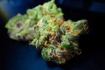 Macro close-up of a textured cannabis bud with orange pistils