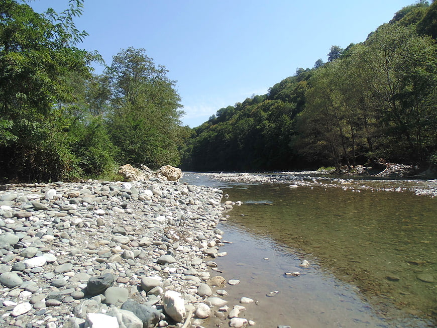 Scenic River Landscape with Rocky Shore and Forest