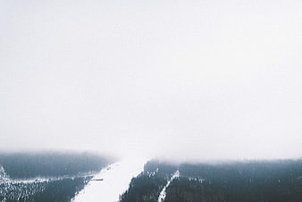 Minimalist Winter Ski Slope in Foggy Forest