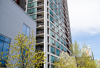 Modern High-Rise Apartment Building with Spring Trees