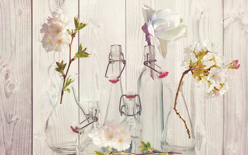 White cherry blossom branches in glass bottles on wooden background