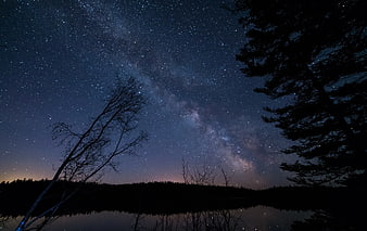 Milky Way Galaxy Over Lake with Silhouetted Trees at Night