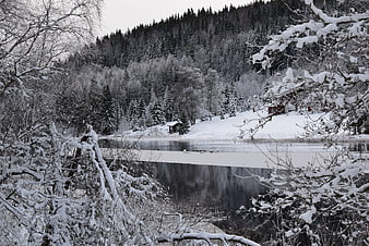 Serene Winter River Landscape with Snowy Forest and Cabin
