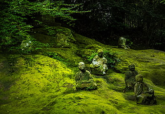 Moss-Covered Stone Buddha Statues in Lush Japanese Forest
