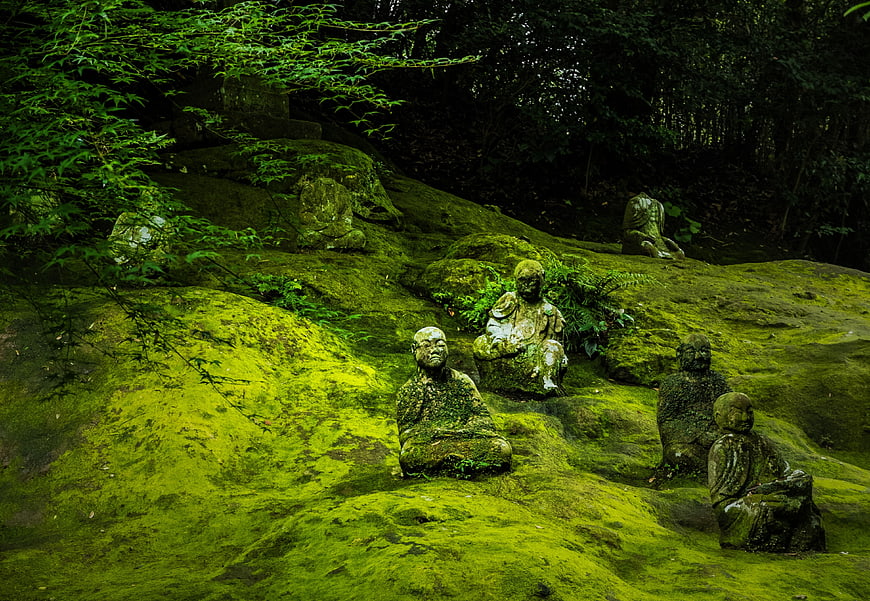 Moss-Covered Stone Buddha Statues in Lush Japanese Forest