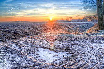 Frosty agricultural field at sunrise with tire tracks